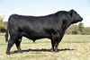 One Whole Black Angus